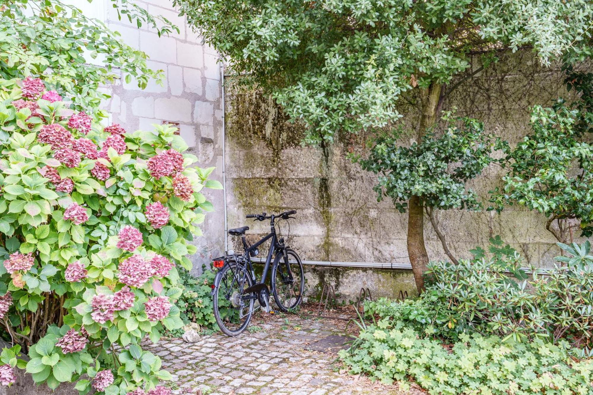 Appartement Raffine Vue Cathedrale, Jardin, Wifi トゥール エクステリア 写真