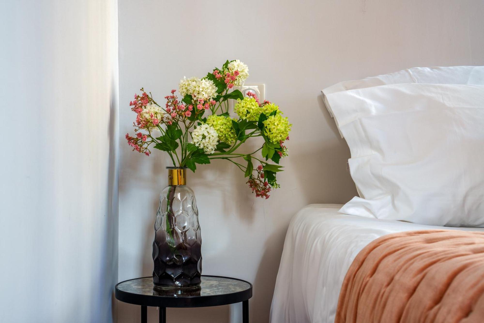 Appartement Raffine Vue Cathedrale, Jardin, Wifi トゥール エクステリア 写真