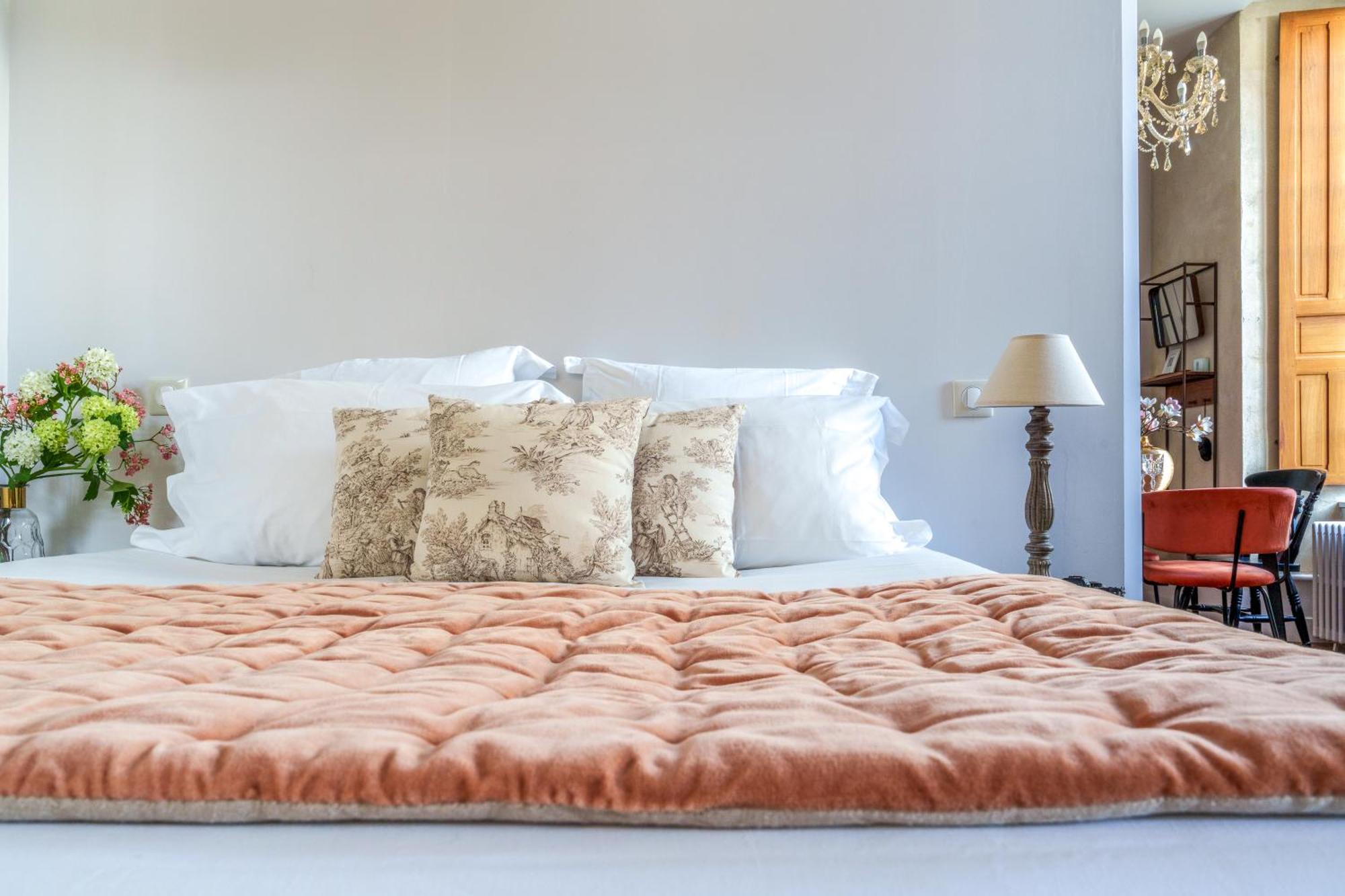 Appartement Raffine Vue Cathedrale, Jardin, Wifi トゥール エクステリア 写真