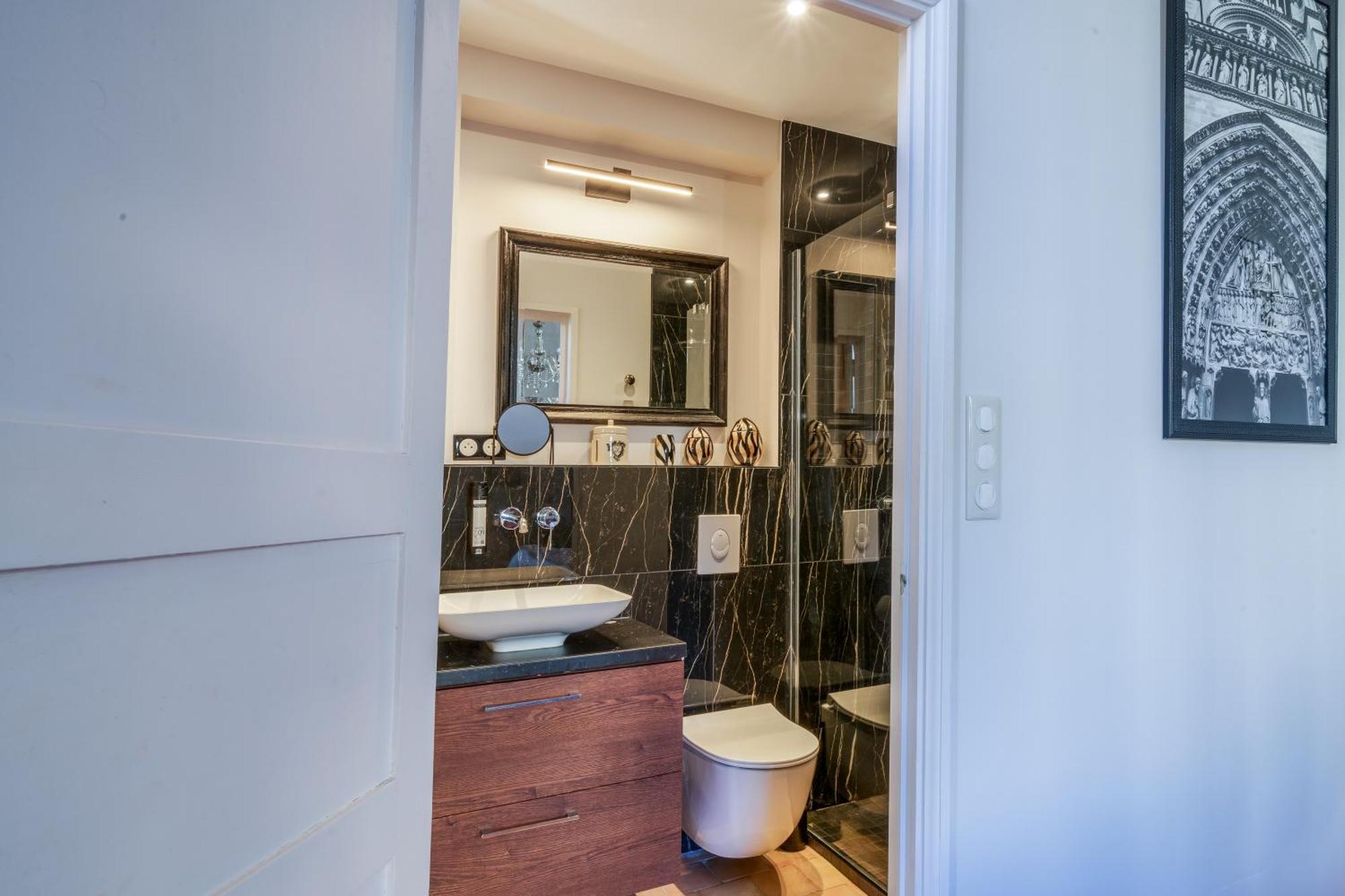 Appartement Raffine Vue Cathedrale, Jardin, Wifi トゥール エクステリア 写真